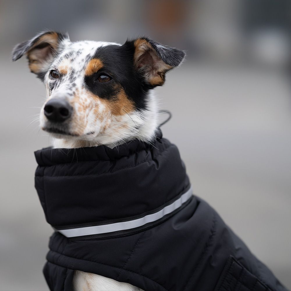 Пуховик для собак Noble Pet Bobby Bravery 3XL