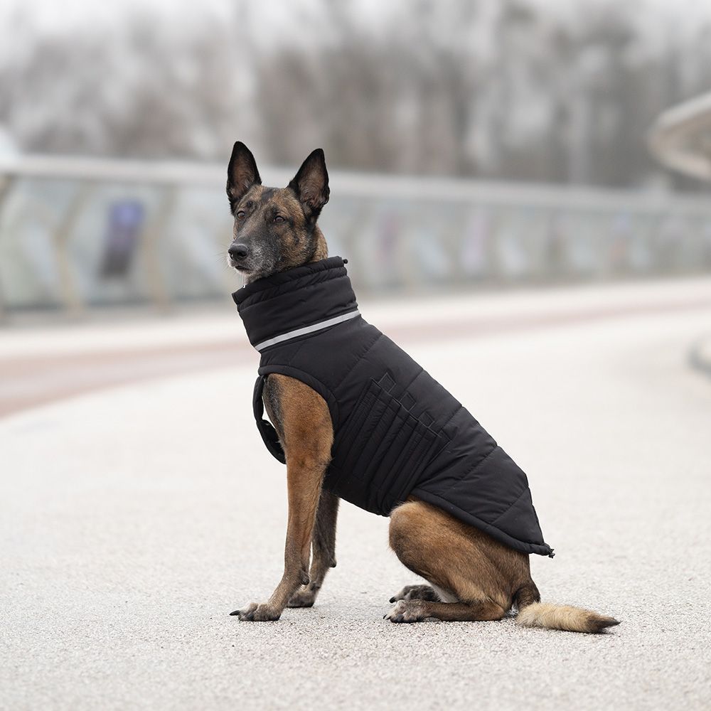 Пуховик для собак Noble Pet Bobby Bravery 3XL