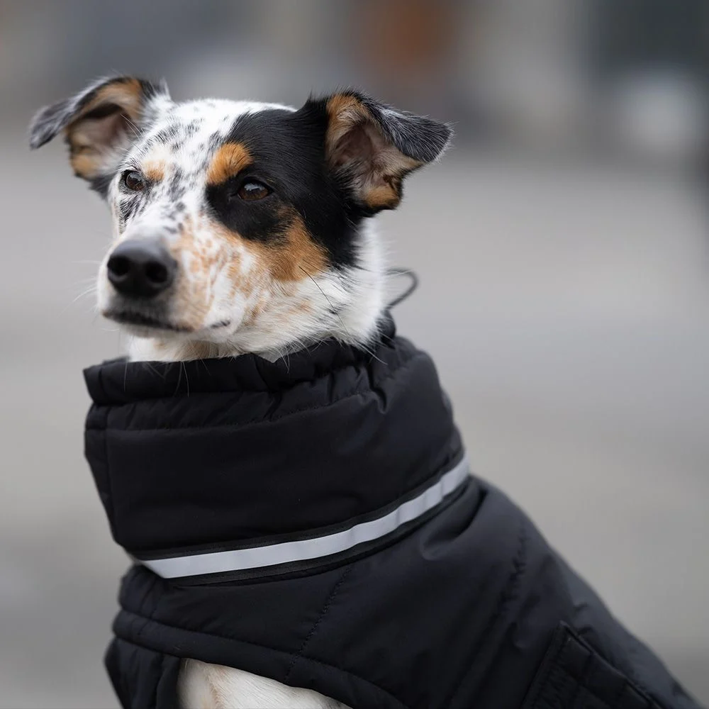 Пуховик для собак Noble Pet Bobby Bravery M