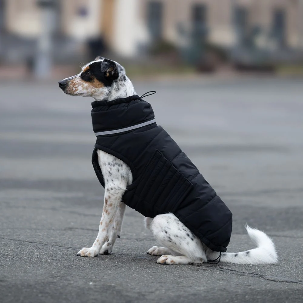 Пуховик для собак Noble Pet Bobby Bravery M