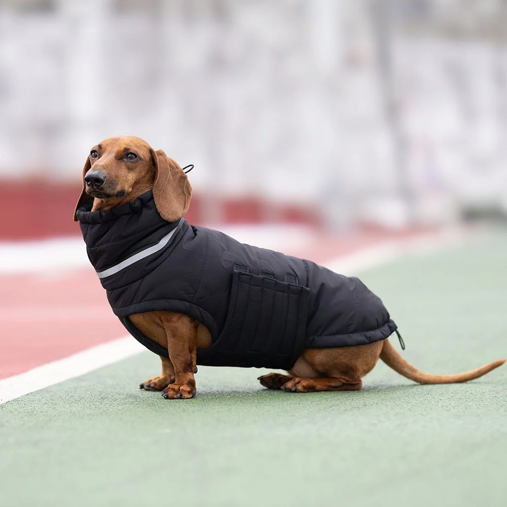 Пуховик для собак Noble Pet Bobby Bravery M