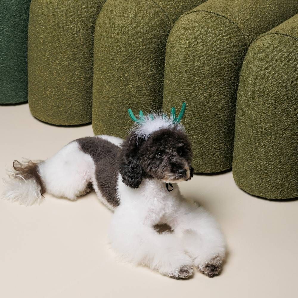 Ріжки для собак Pet Fashion Deer XS-S