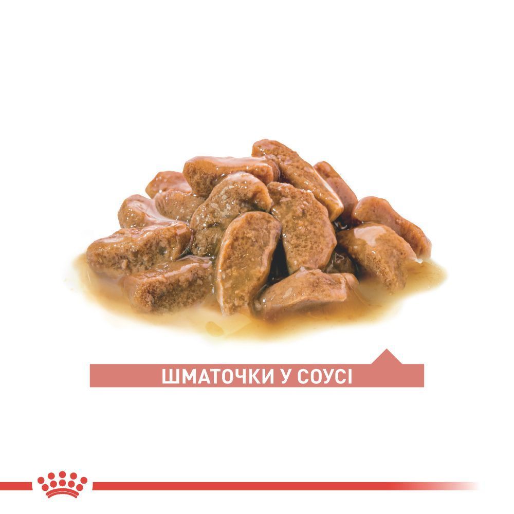 Влажный корм для кошек Royal Canin Ageing 11+ 85 г
