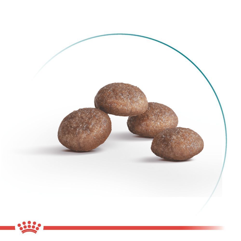 Royal Canin Ageing Sterilised 11+ сухой корм для кошек 2 кг