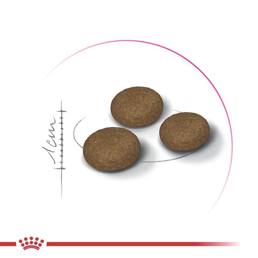 Сухий корм для котів Royal Canin Fussy Exigent 400 г