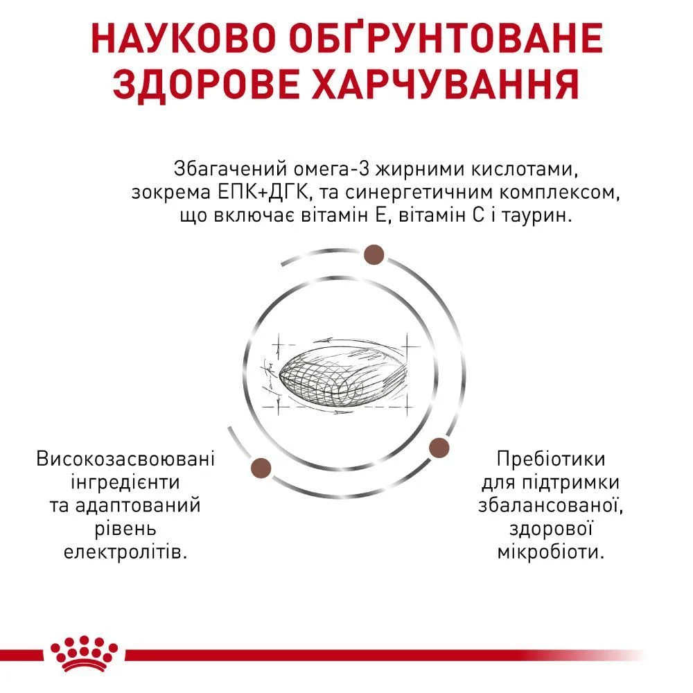Сухий корм для собак Royal Canin Gastrointestinal Low Fat Small 1,5 кг Сухий корм для собак Royal Canin Gastrointestinal Low Fat Small 1,5 кг