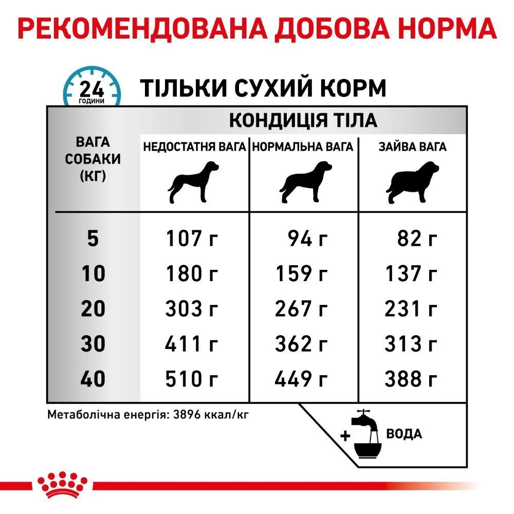 Сухой корм для собак Royal Canin Skin Care 2 кг