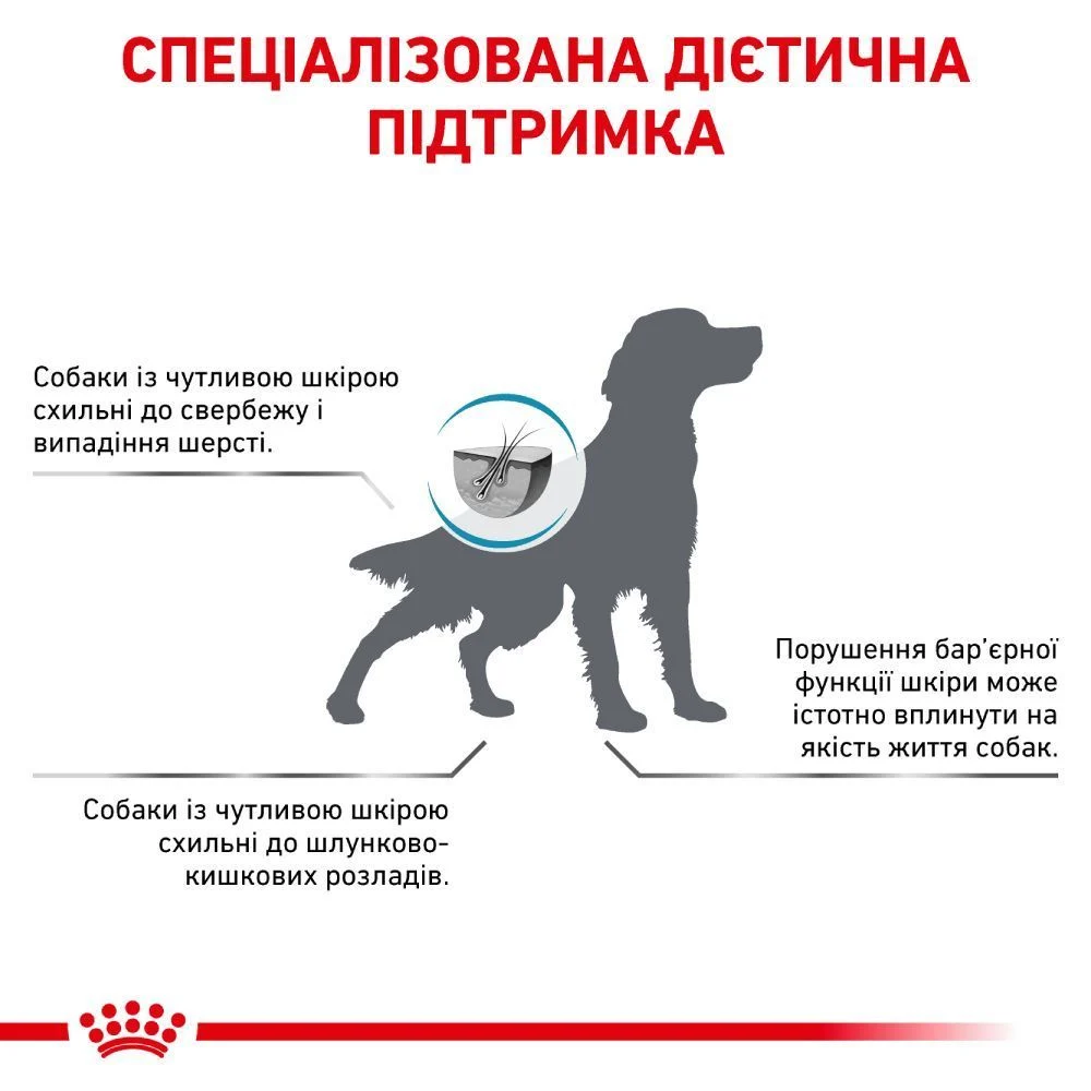 Сухой корм для собак Royal Canin Skin Care 2 кг