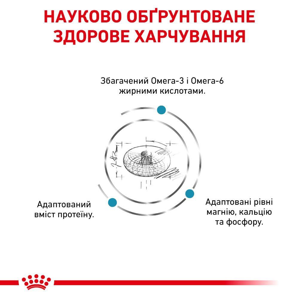 Сухой корм для кошек Royal Canin Skin & Coat 1,5 кг