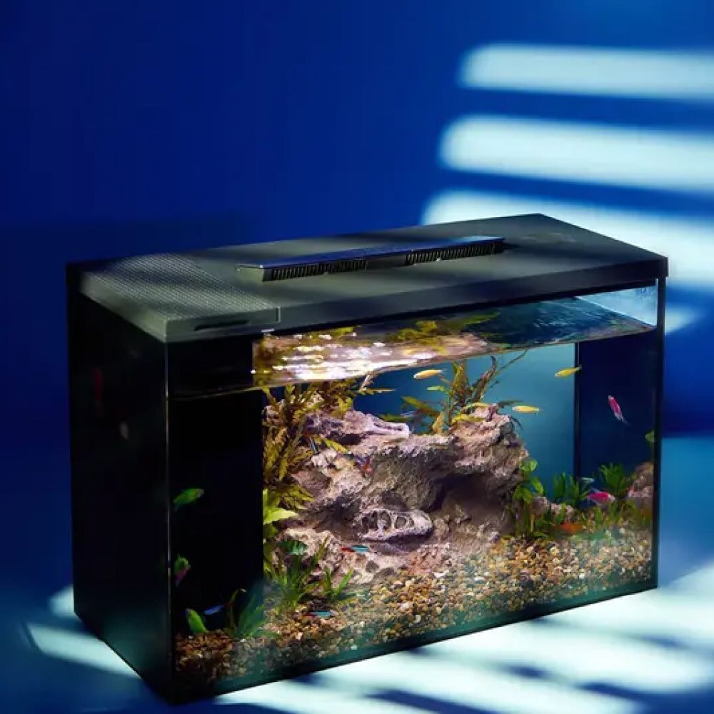 Розумний акваріум Petkit ERAARK PRO no landscape прямий 40 x 16,8 x 26,5 см (12 л) Розумний акваріум Petkit ERAARK PRO no landscape прямий 40 x 16,8 x 26,5 см (12 л)