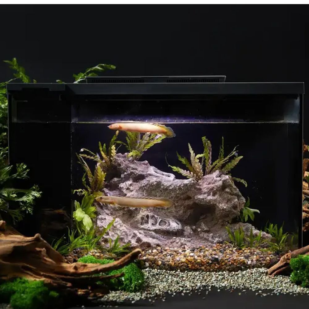 Розумний акваріум Petkit ERAARK PRO no landscape прямий 40 x 16,8 x 26,5 см (12 л) Розумний акваріум Petkit ERAARK PRO no landscape прямий 40 x 16,8 x 26,5 см (12 л)