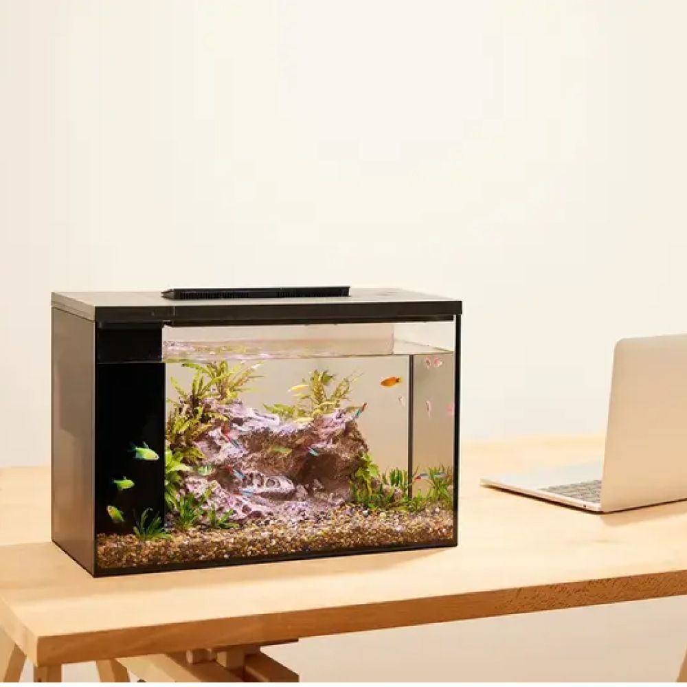 Розумний акваріум Petkit ERAARK PRO no landscape прямий 40 x 16,8 x 26,5 см (12 л) Розумний акваріум Petkit ERAARK PRO no landscape прямий 40 x 16,8 x 26,5 см (12 л)