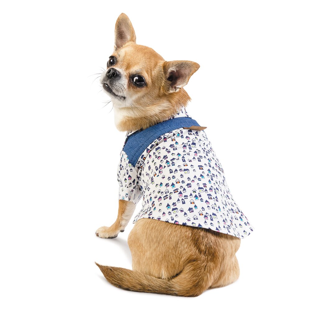 Рубашка для собак Pet Fashion «Челси» XS