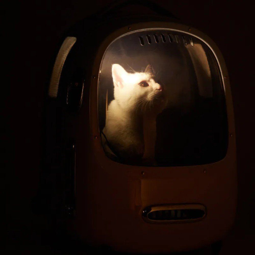 Рюкзак-переноска для котів Petkit Breezy 2 Smart Cat Carrier White Рюкзак-переноска для котів Petkit Breezy 2 Smart Cat Carrier White