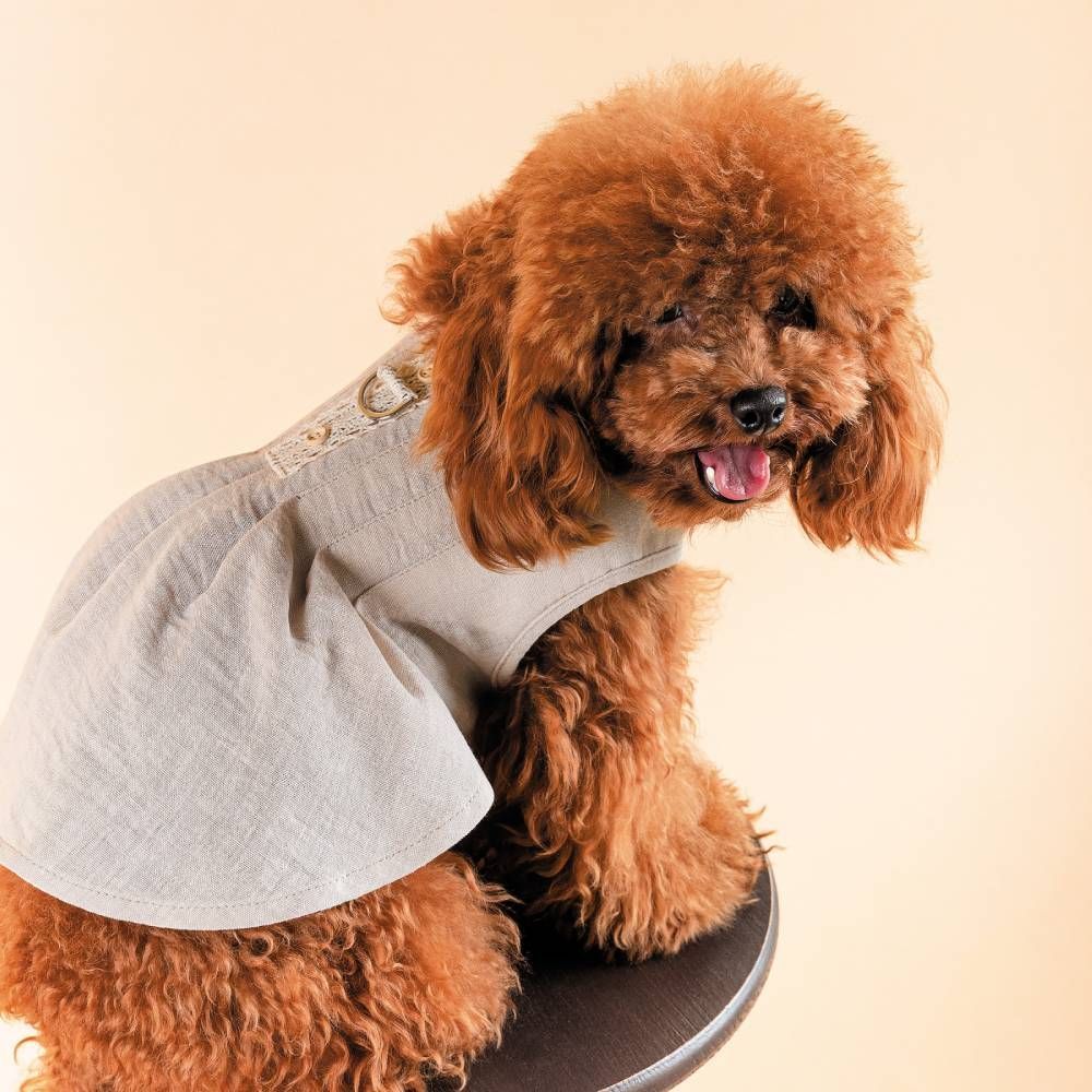 Сарафан для собак Pet Fashion Miya XS Сарафан для собак Pet Fashion Miya XS