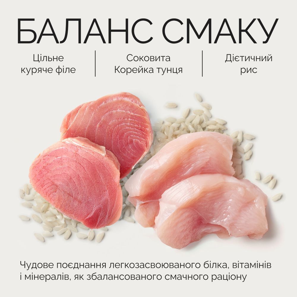 Вологий корм для котів Savory Adult Cats 70 г - курка та тунець