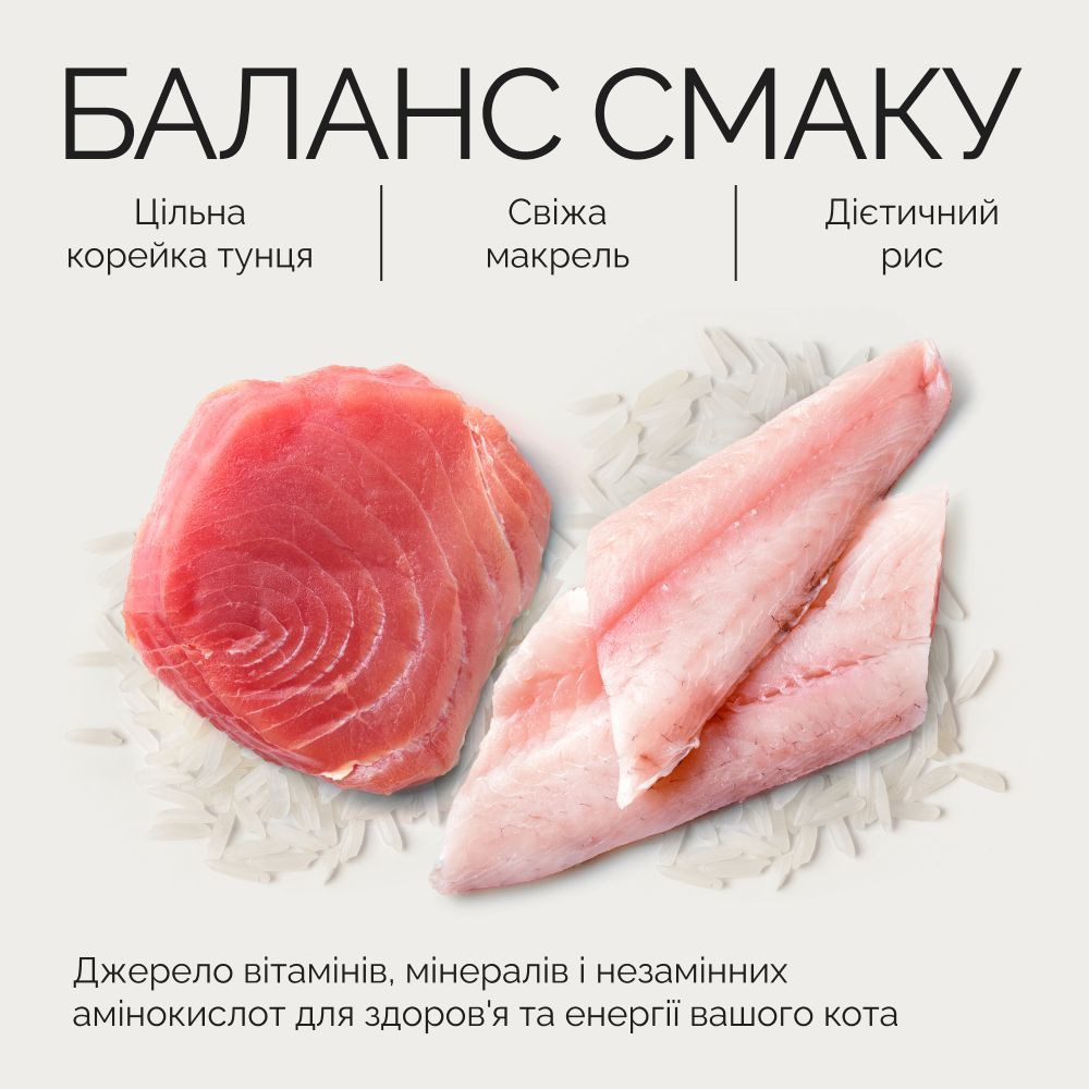 Вологий корм для котів Savory Adult Cats 70 г - тунець та макрель