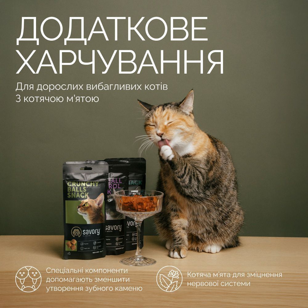 Ласощі для котів Savory Crunchy Balls Snack 60 г - котяча м'ята Ласощі для котів Savory Crunchy Balls Snack 60 г - котяча м'ята