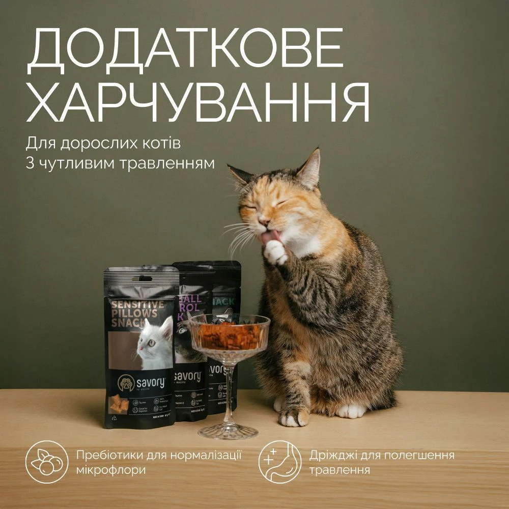 Ласощі для котів Savory Sensitive Pillows Snack 60 г - курка Ласощі для котів Savory Sensitive Pillows Snack 60 г - курка