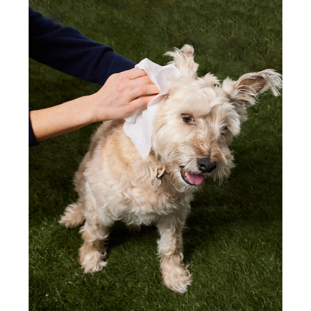 Салфетки для собак Natural Dog Company Grooming Wipes XL 50 шт Салфетки для собак Natural Dog Company Grooming Wipes XL 50 шт