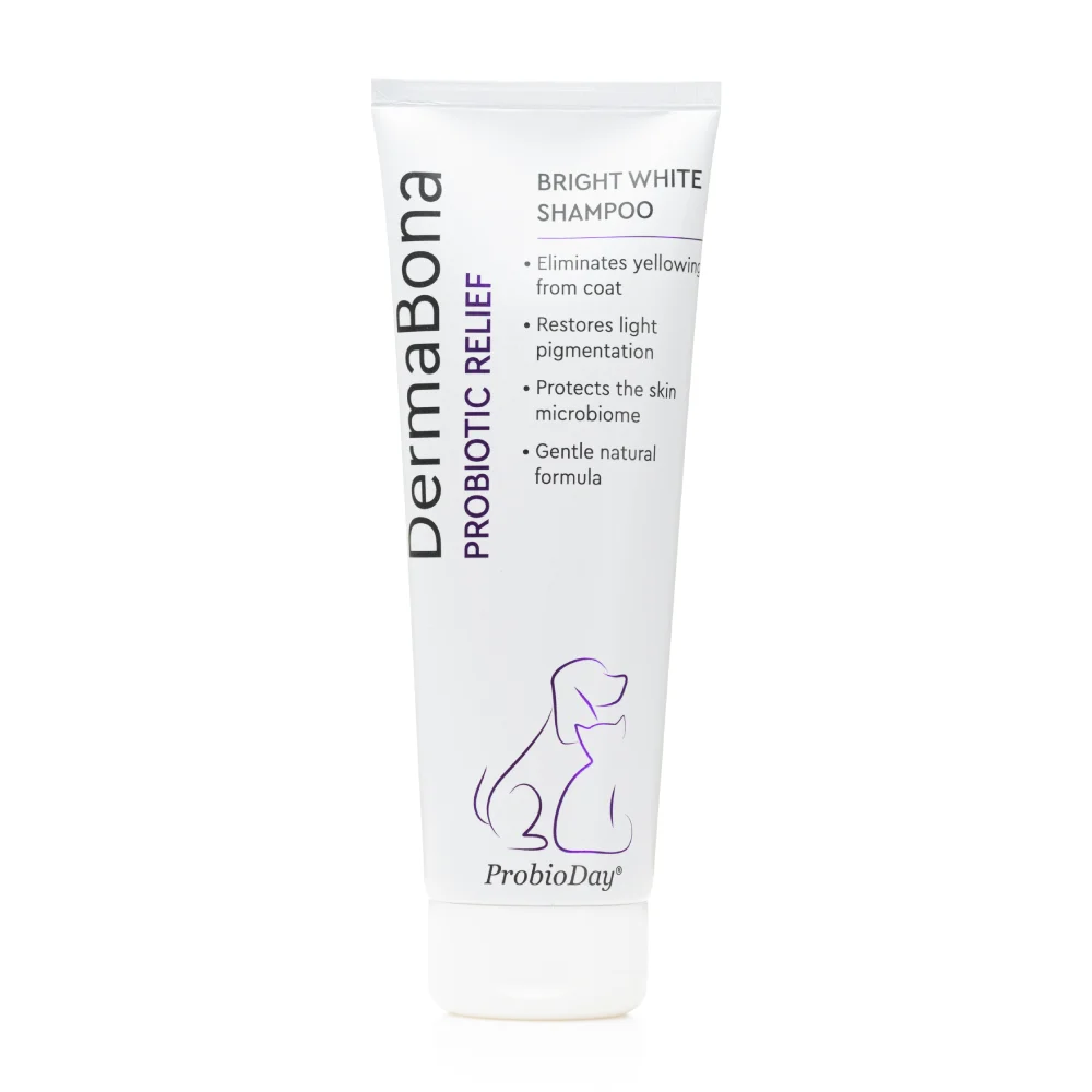 Шампунь для котів Probioday DermaBona Bright White 250 мл Шампунь для котів Probioday DermaBona Bright White 250 мл