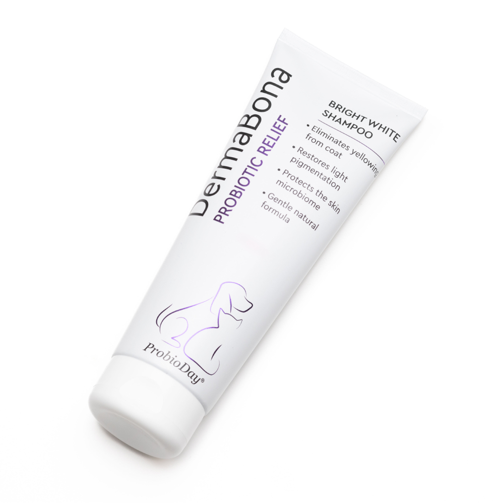 Шампунь для котів Probioday DermaBona Bright White 250 мл Шампунь для котів Probioday DermaBona Bright White 250 мл