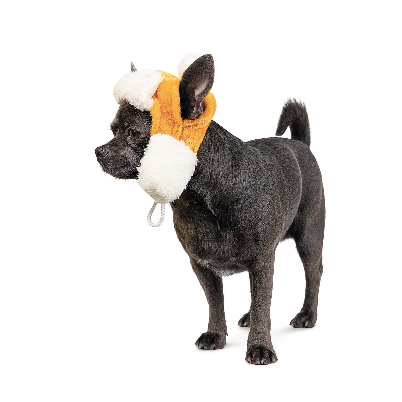 Шапка для собак Pet Fashion «Bubo» XS Шапка для собак Pet Fashion «Bubo» XS