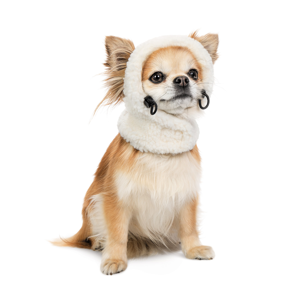 Шапка для собак Pet Fashion Teddy M Шапка для собак Pet Fashion Teddy M
