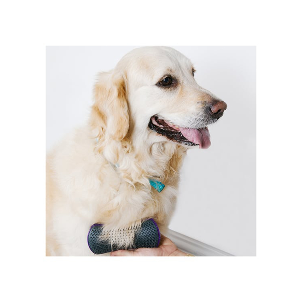 Щітка для собак Pet Teezer De-shedding and Grooming - фіолетово-сірий Щітка для собак Pet Teezer De-shedding and Grooming - фіолетово-сірий