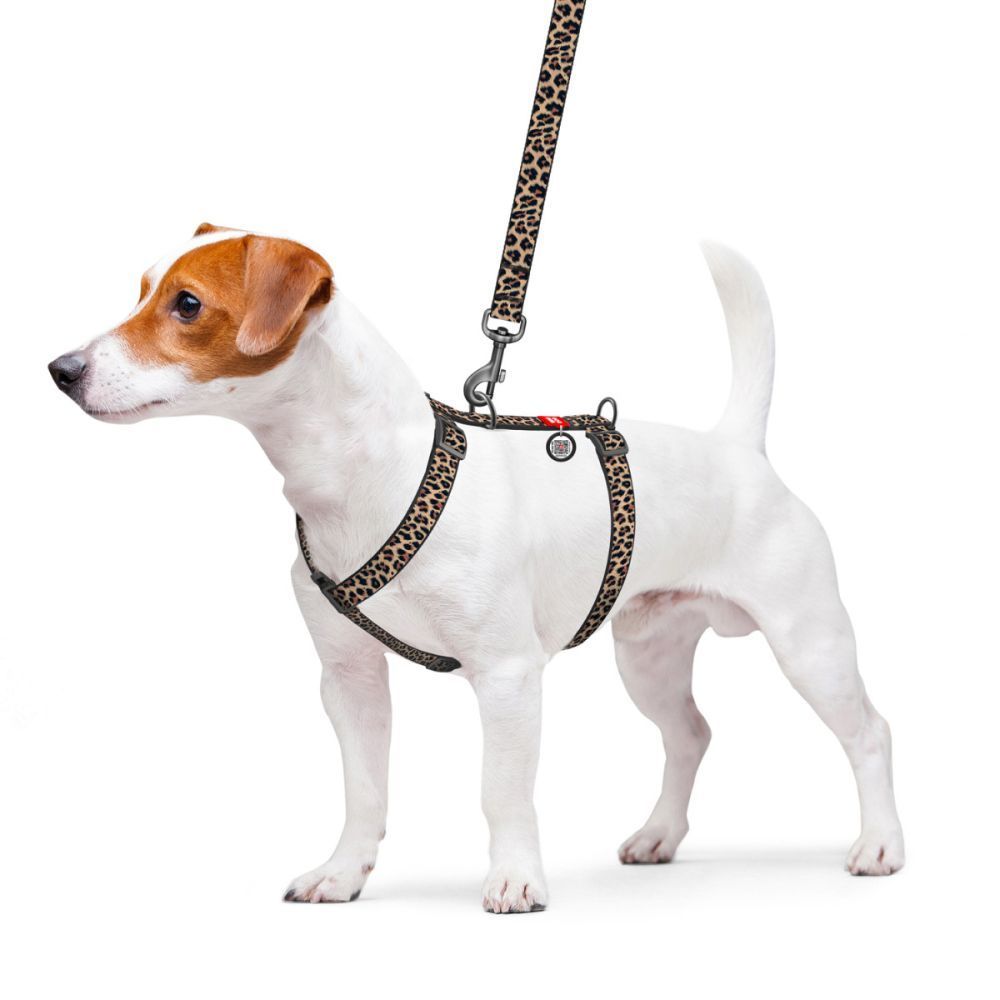 Шлея для собак COLLAR Анатомічна S - леопард Шлея для собак COLLAR Анатомічна S - леопард