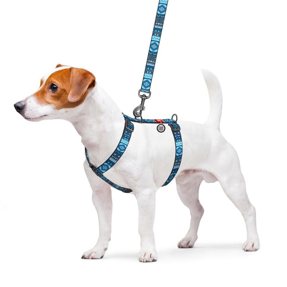 Шлея для собак COLLAR WOUDOG Н-подібна M - синя Шлея для собак COLLAR WOUDOG Н-подібна M - синя