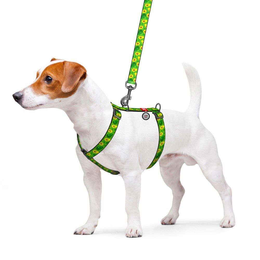 Шлейка для собак COLLAR WOUDOG Н-образная S - зеленая Шлейка для собак COLLAR WOUDOG Н-образная S - зеленая