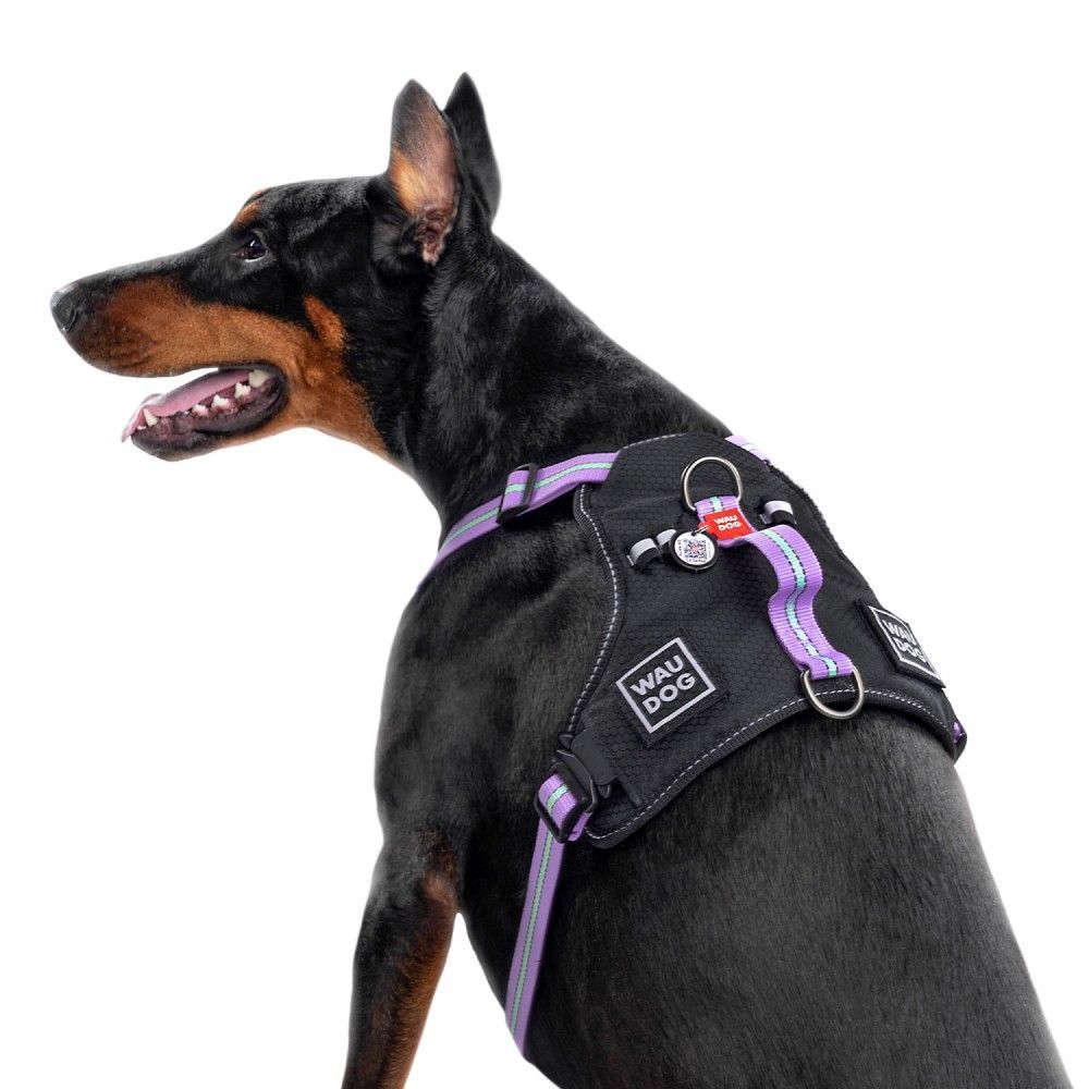 Шлейка для собак COLLAR WOUDOG Нейлон M - фиолетовая Шлейка для собак COLLAR WOUDOG Нейлон M - фиолетовая