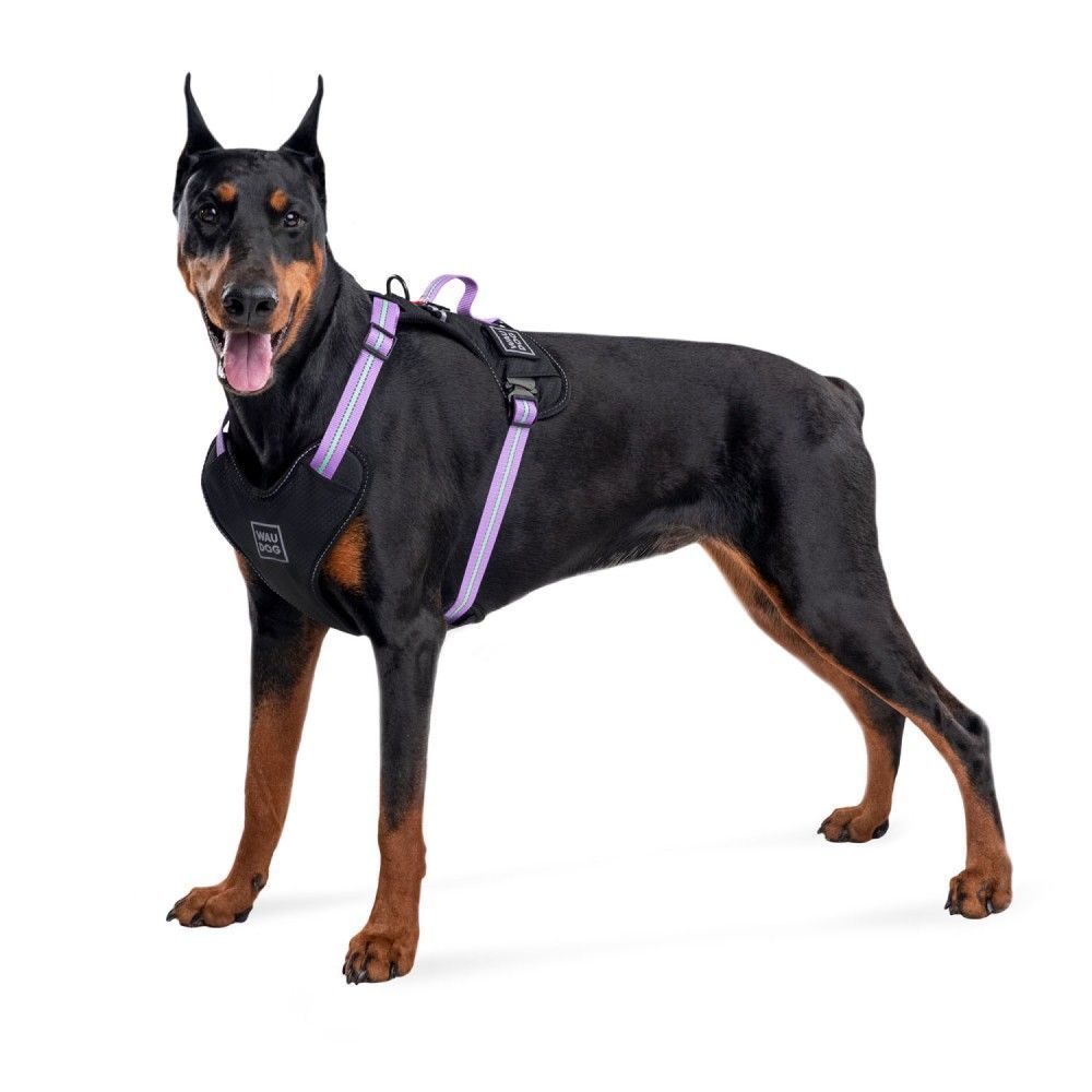 Шлейка для собак COLLAR WOUDOG Нейлон M - фиолетовая Шлейка для собак COLLAR WOUDOG Нейлон M - фиолетовая