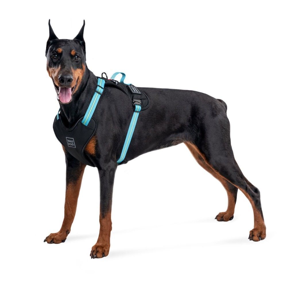 Waudog Nylon шлея для собак S - голубой