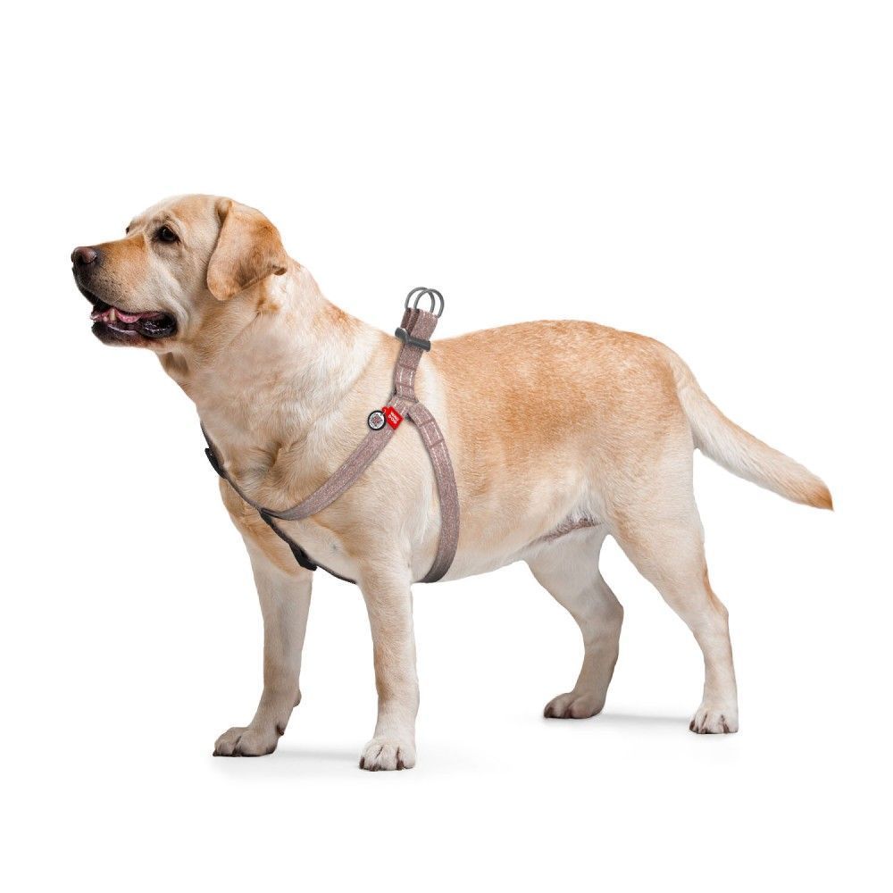 Шлея для собак COLLAR WOUDOG Світловідбиваюча S - коричневий Шлея для собак COLLAR WOUDOG Світловідбиваюча S - коричневий