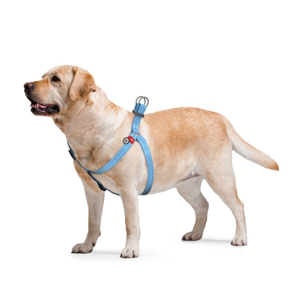 Шлея для собак COLLAR WOUDOG Світловідбиваюча S - блакитний Шлея для собак COLLAR WOUDOG Світловідбиваюча S - блакитний