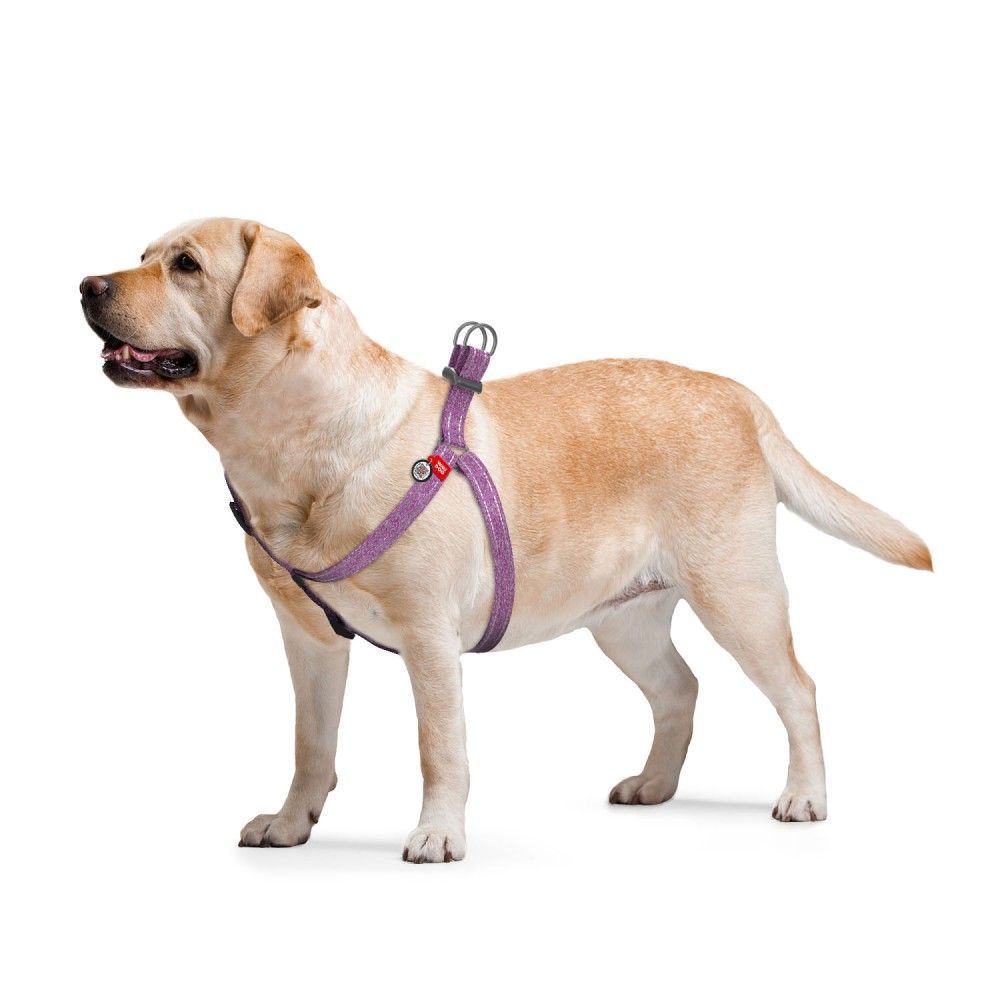 Шлея для собак COLLAR WOUDOG Світловідбиваюча S - фіолетовмй Шлея для собак COLLAR WOUDOG Світловідбиваюча S - фіолетовмй