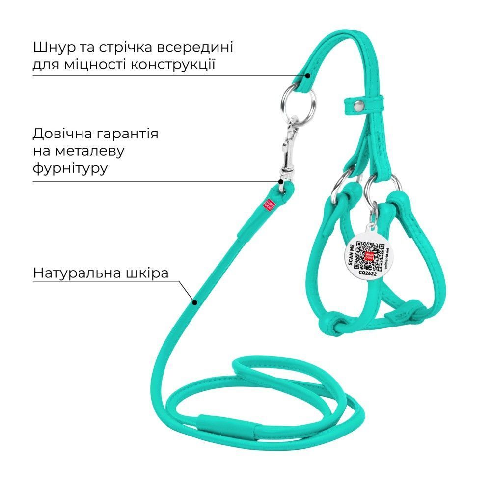 Waudog Glamour шкіряна шлея з повідцем для собак XXS - ментоловий Waudog Glamour шкіряна шлея з повідцем для собак XXS - ментоловий