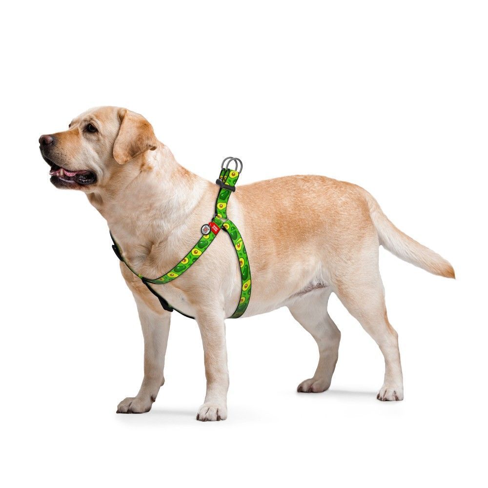 Поводок для собак COLLAR WOUDOG Нейлон М - зеленый Поводок для собак COLLAR WOUDOG Нейлон М - зеленый