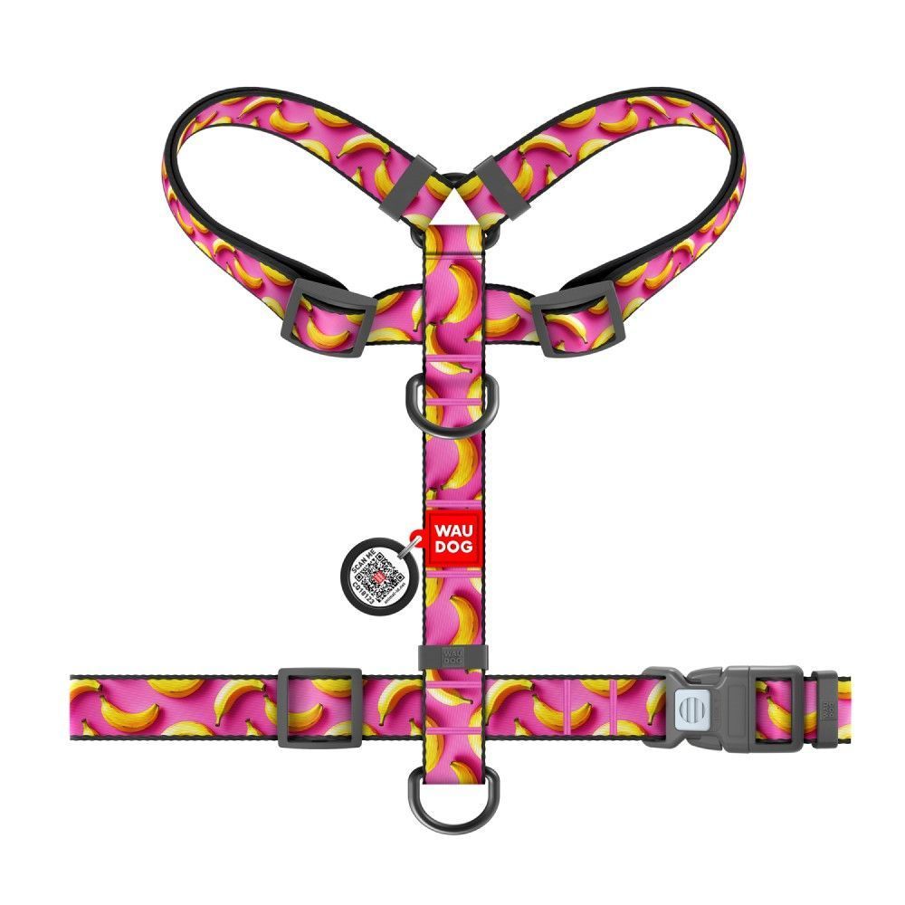 Шлея для собак Collar WAUDOG Nylon S Шлея для собак Collar WAUDOG Nylon S