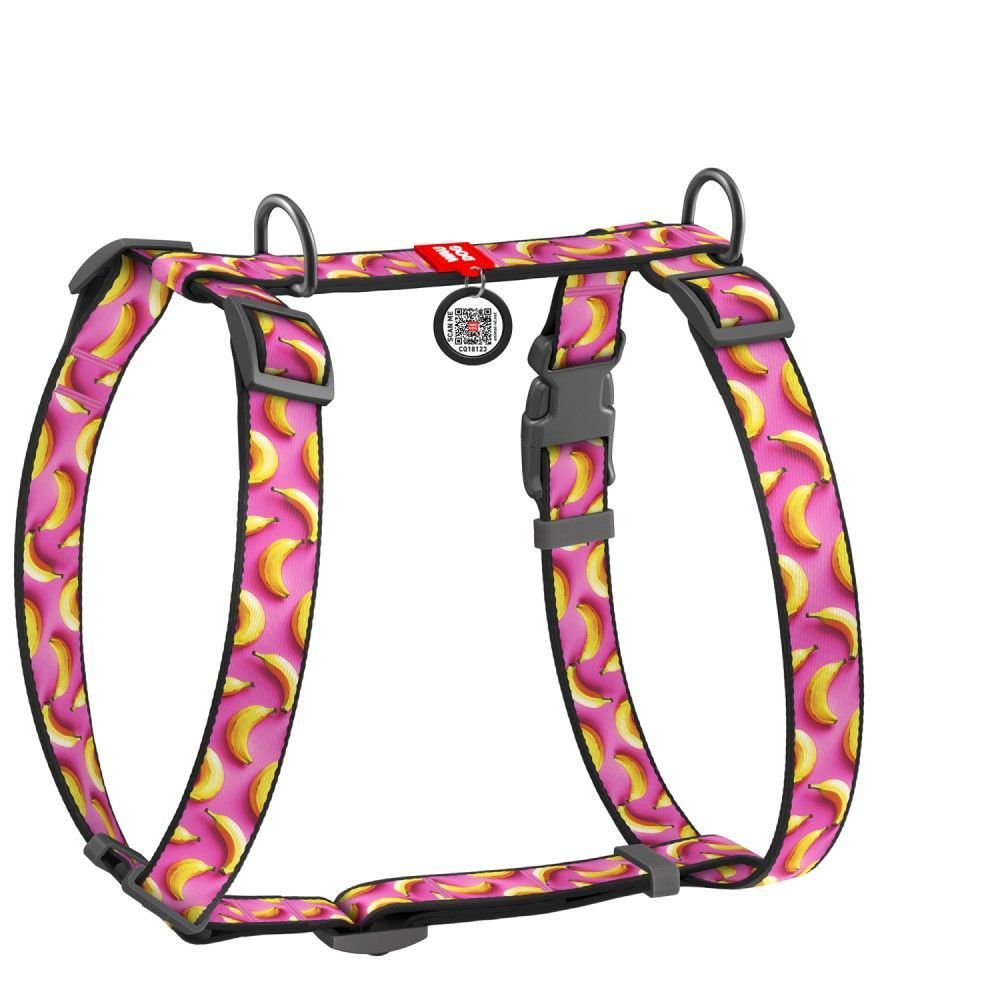 Шлея для собак Collar WAUDOG Nylon S Шлея для собак Collar WAUDOG Nylon S