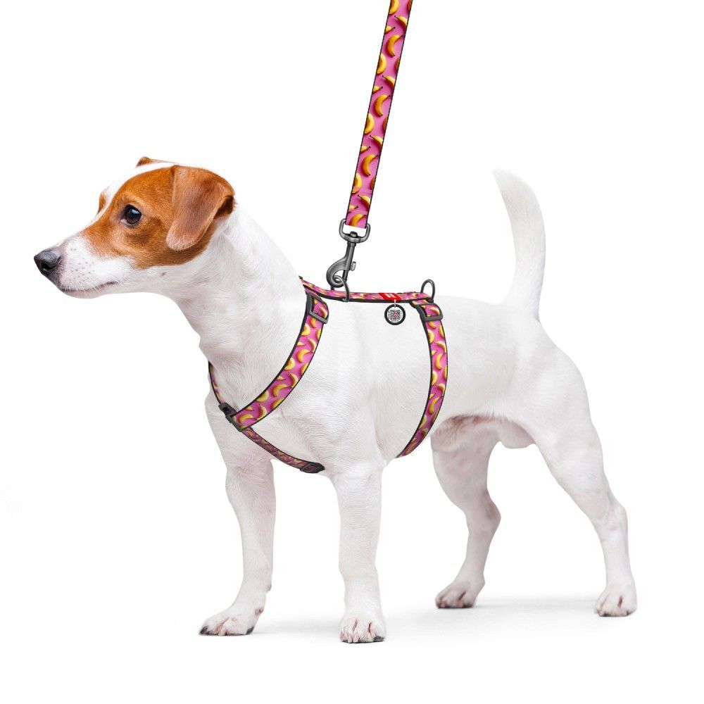 Шлея для собак Collar WAUDOG Nylon S Шлея для собак Collar WAUDOG Nylon S