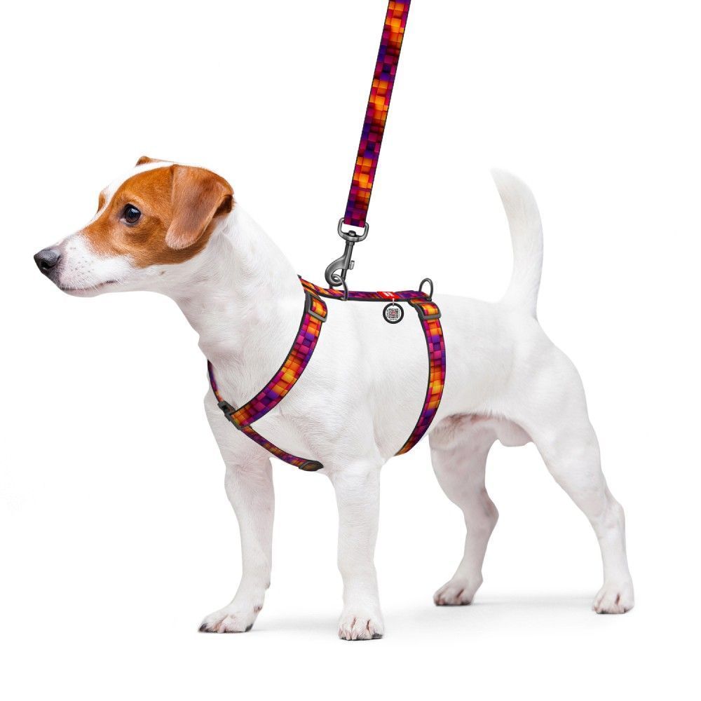 Шлея для собак Collar WAUDOG Nylon S Шлея для собак Collar WAUDOG Nylon S