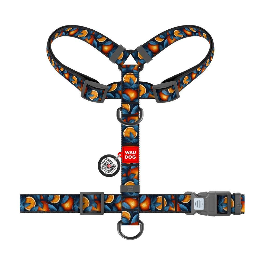 Шлейка для собак Collar WAUDOG Nylon M Шлейка для собак Collar WAUDOG Nylon M