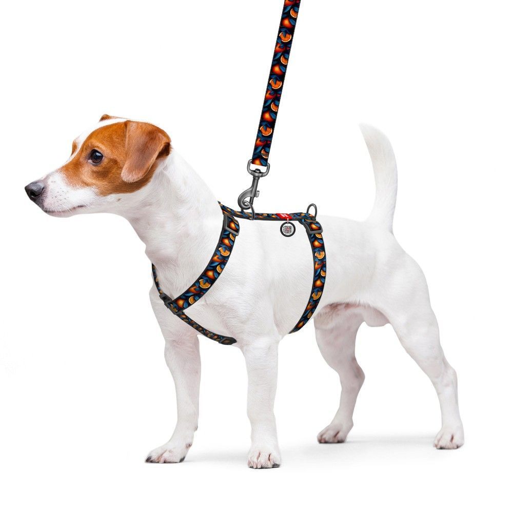 Шлейка для собак Collar WAUDOG Nylon M Шлейка для собак Collar WAUDOG Nylon M