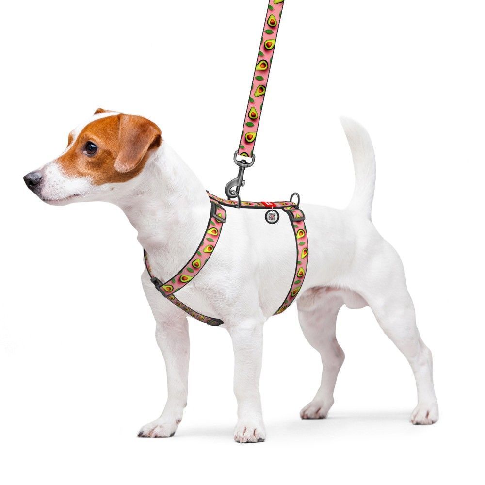 Шлейка для собак Collar WAUDOG Nylon M Шлейка для собак Collar WAUDOG Nylon M