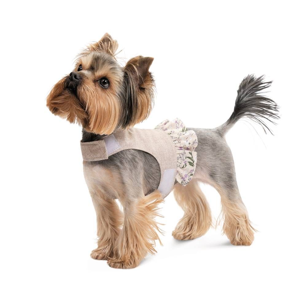 Шлея для собак Pet Fashion Nika XXS Шлея для собак Pet Fashion Nika XXS