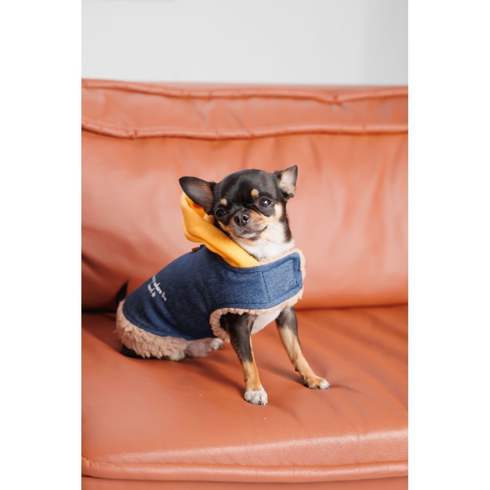 Шлея для собак Pet Fashion Poppy XS-2