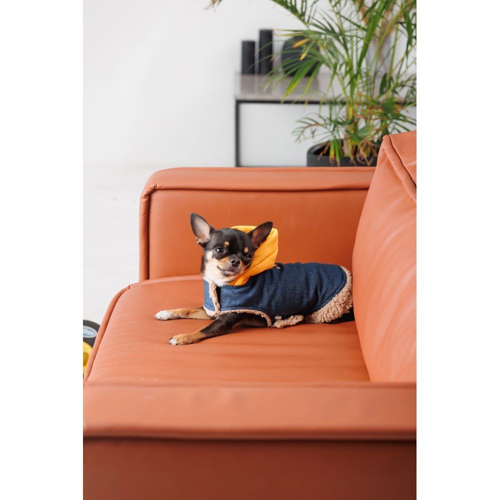 Шлея для собак Pet Fashion Poppy XS-2